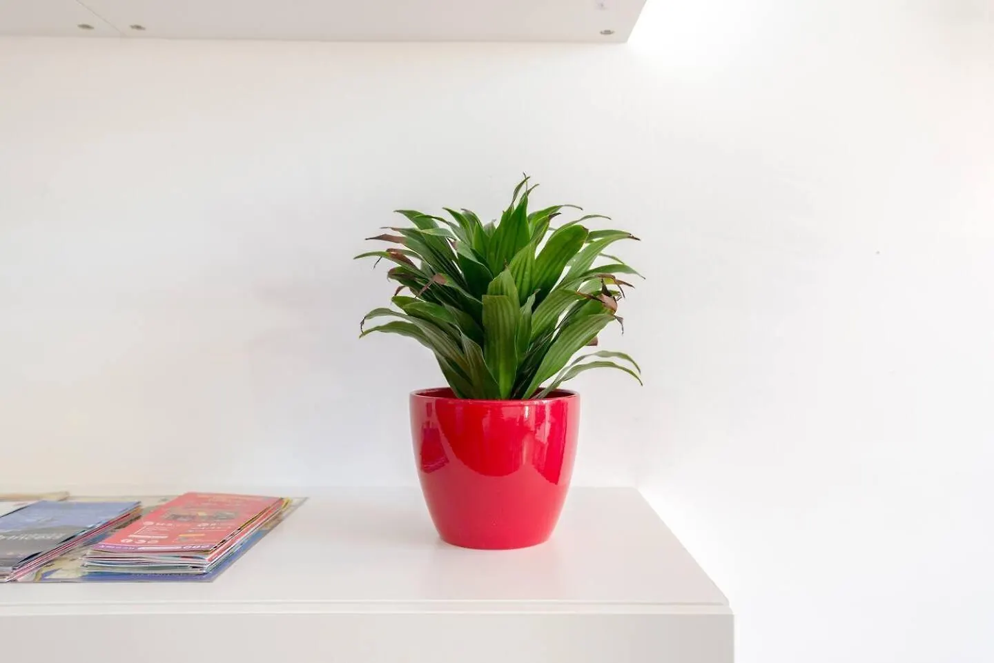 Quiet, Bright And Central Apartment Malaga